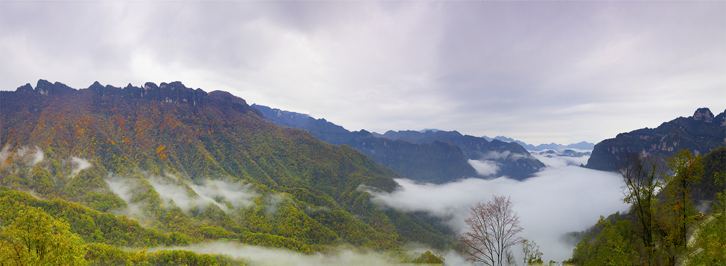 口碑好的神农架旅游旅行社哪家专业