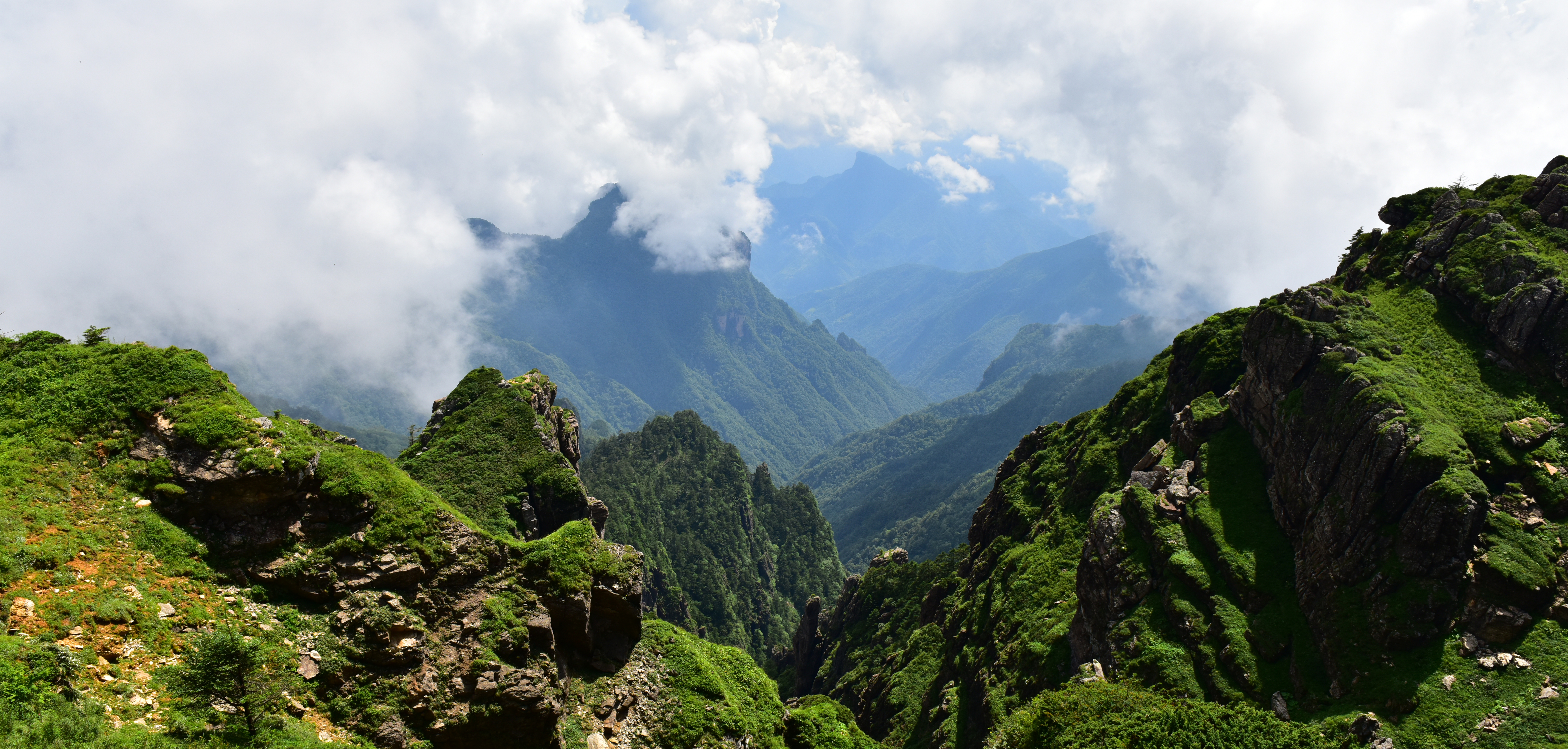专业的神农架旅游旅行社有哪些