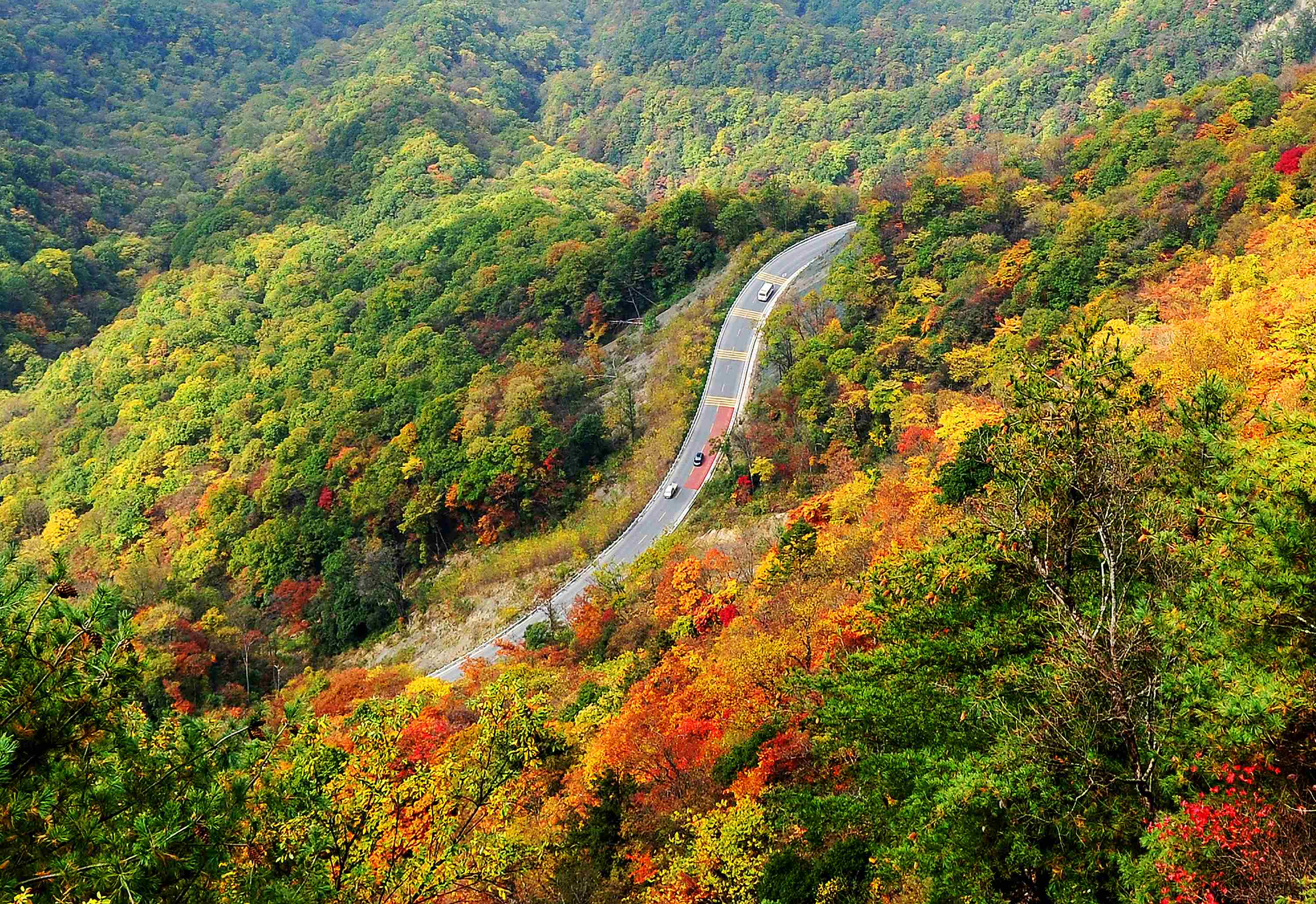 神农架靠谱的旅拍公司找哪家
